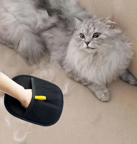 PETLANE™ Pet Hair Removal Gloves