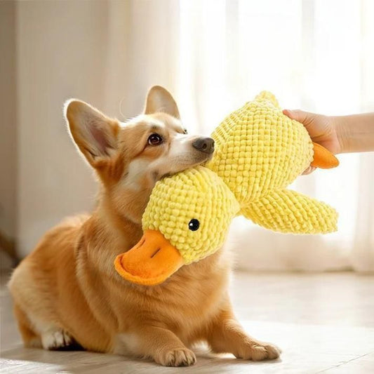 PETLANE™ Plush Duck Soft Toy